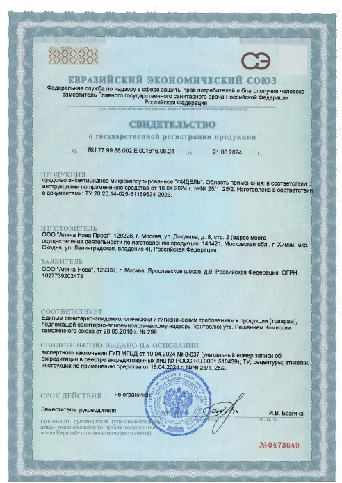 Уничтожение пауков - фото 22